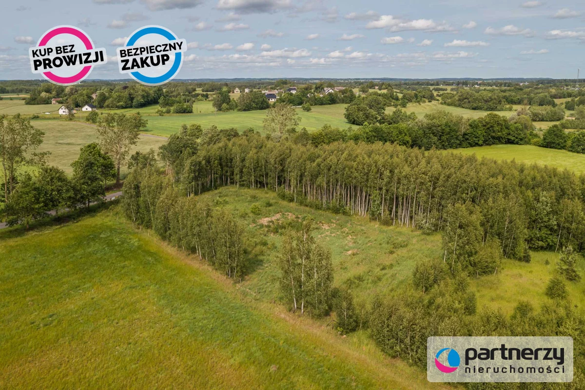 PAN156553 - zdjęcie nr 2