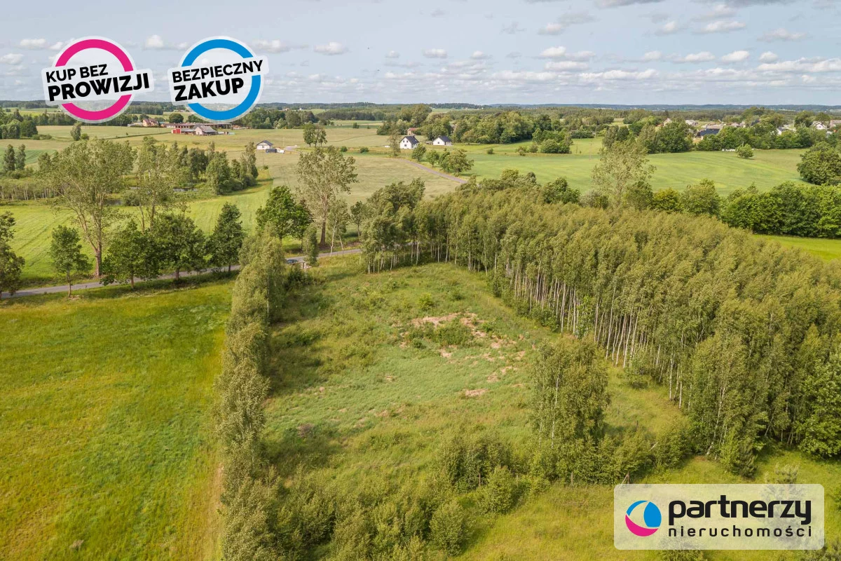 PAN156553 - zdjęcie nr 3