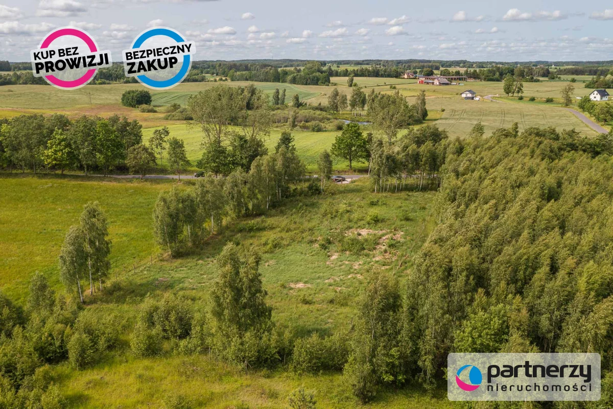 PAN156553 - zdjęcie nr 4