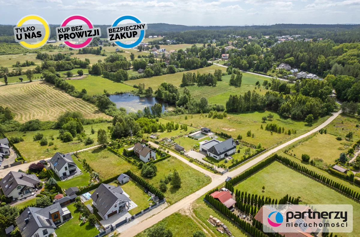 PAN945270 - zdjęcie nr 2