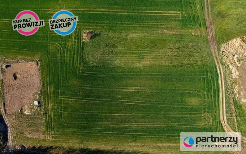 PAN942830 - zdjęcie nr 4