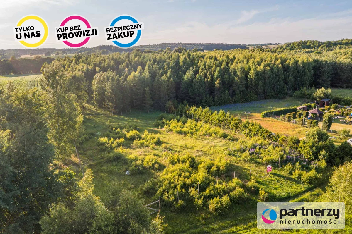 PAN669929 - zdjęcie nr 3