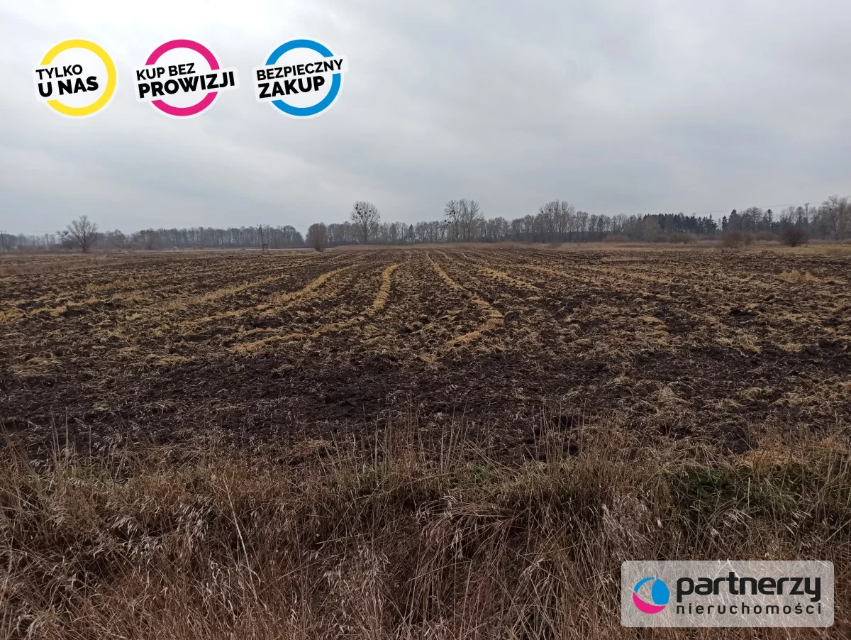 Działka 40 500,00 m², oferta nr , PAN993293, Roszkowo, Wierzbowa