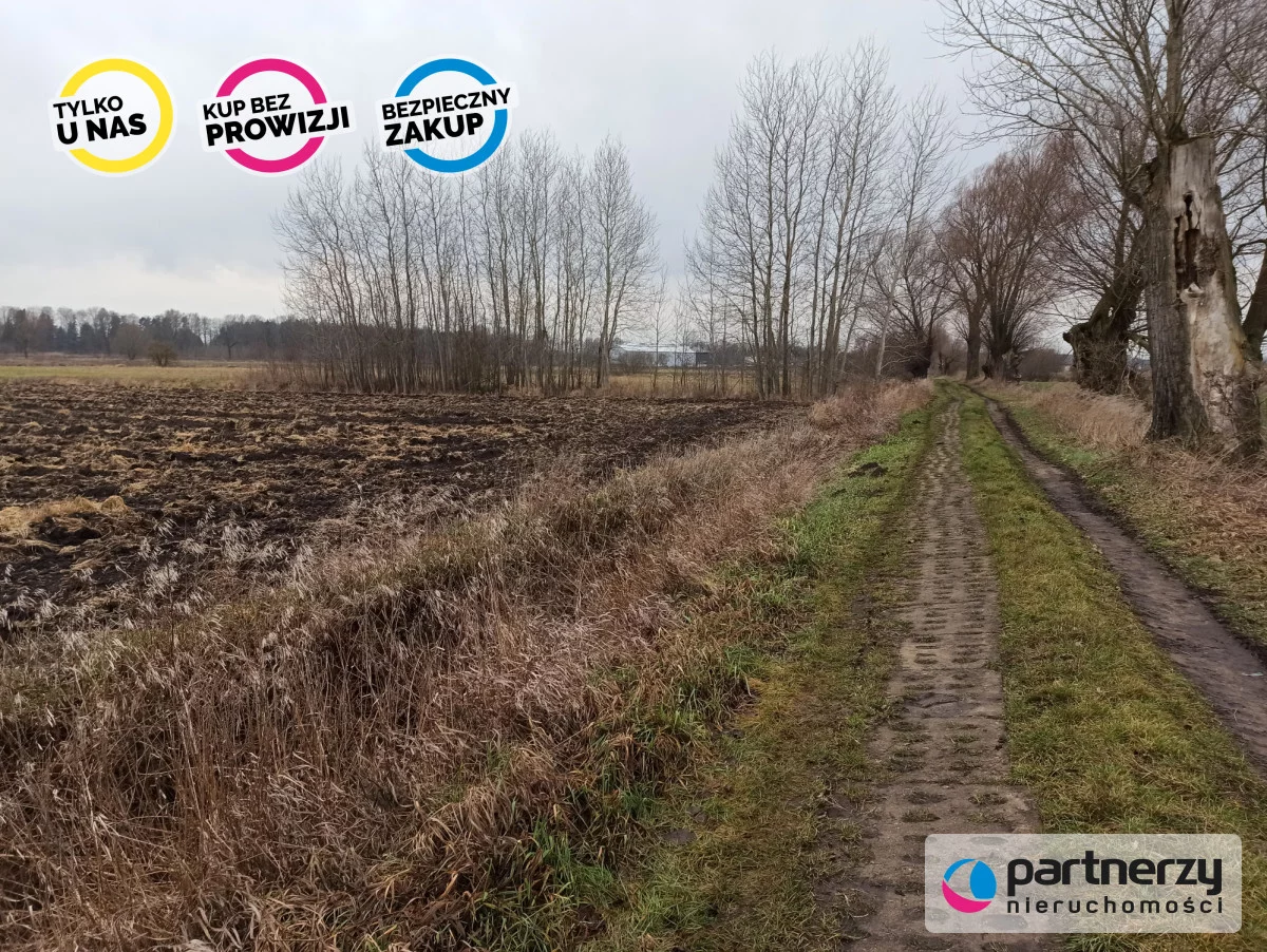 Działka 40 500,00 m², oferta nr , PAN993293, Roszkowo, Wierzbowa