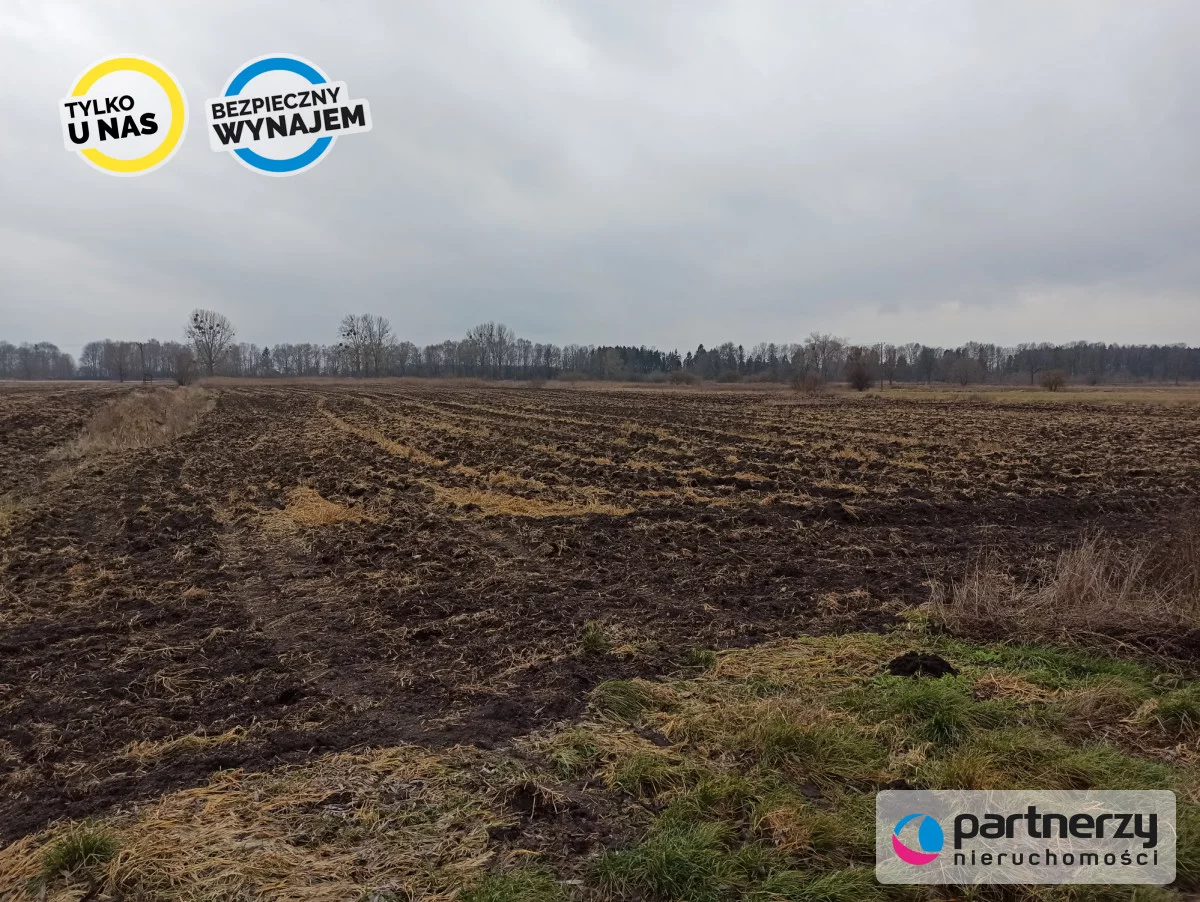 Działka 40 500,00 m², oferta nr , PAN114521, Roszkowo, Wierzbowa