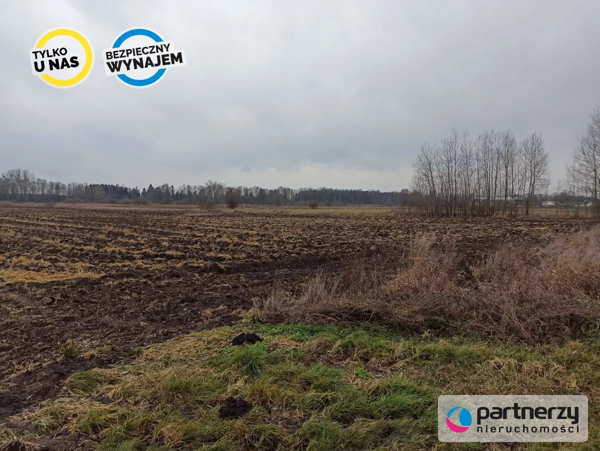 Działka 40 500,00 m², oferta nr , PAN114521, Roszkowo, Wierzbowa