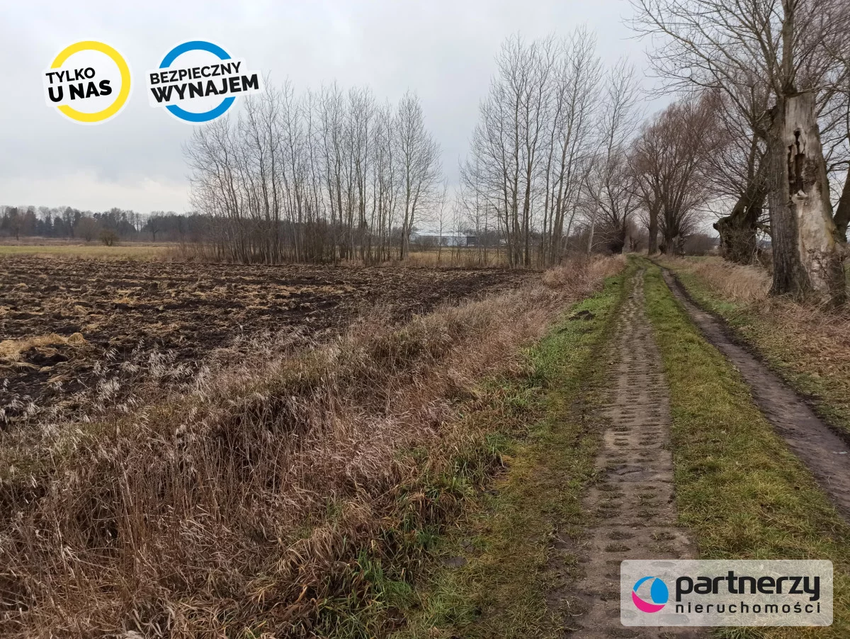Działka 40 500,00 m², oferta nr , PAN114521, Roszkowo, Wierzbowa