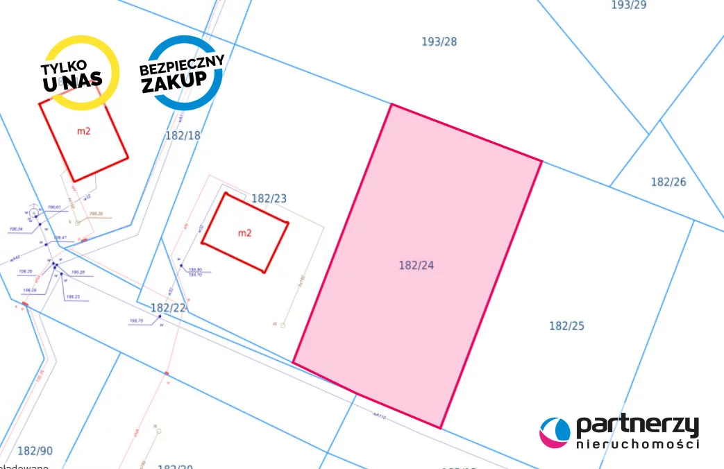 PAN849383 - zdjęcie nr 4
