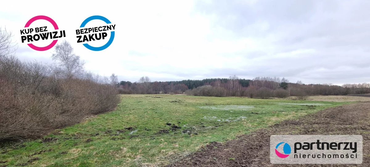 Działka 20 060,00 m², oferta nr , PAN333380, Bojano, Wrzosowa