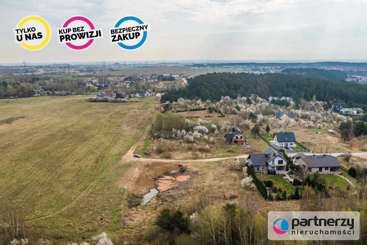 PAN995744 - zdjęcie nr 2