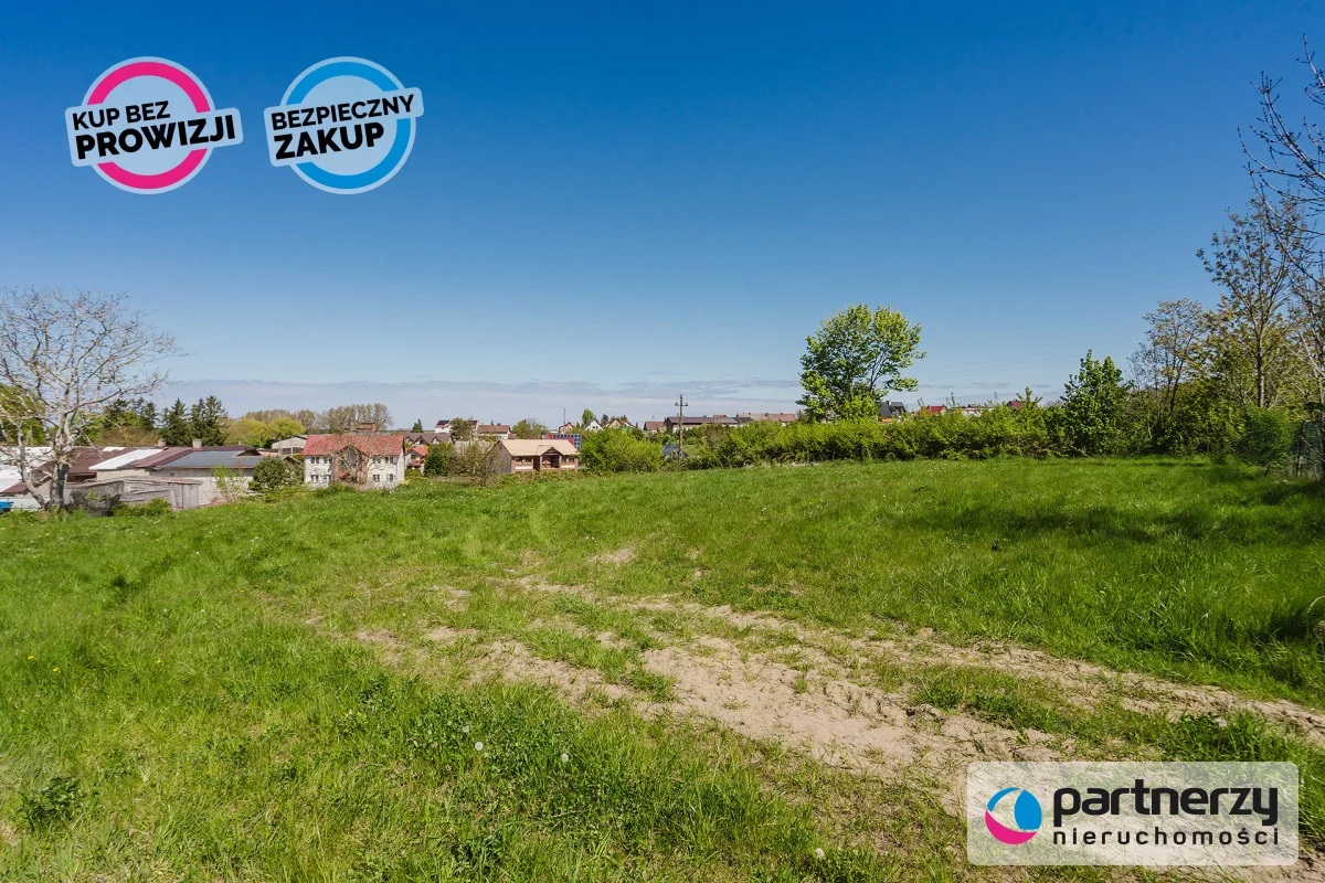 PAN384461 - zdjęcie nr 4