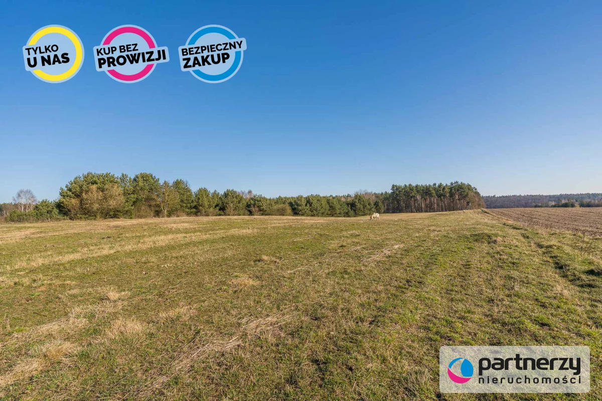 Działka 12 892,00 m², oferta nr , PAN102305, Zwierzewo