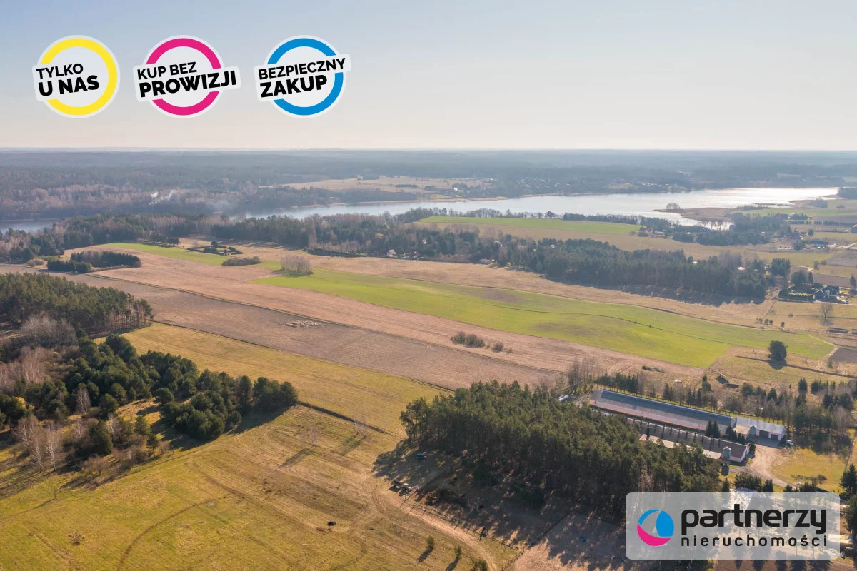 PAN675729 - zdjęcie nr 3