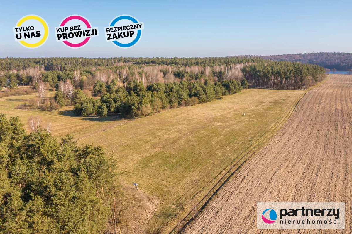 PAN675729 - zdjęcie nr 4