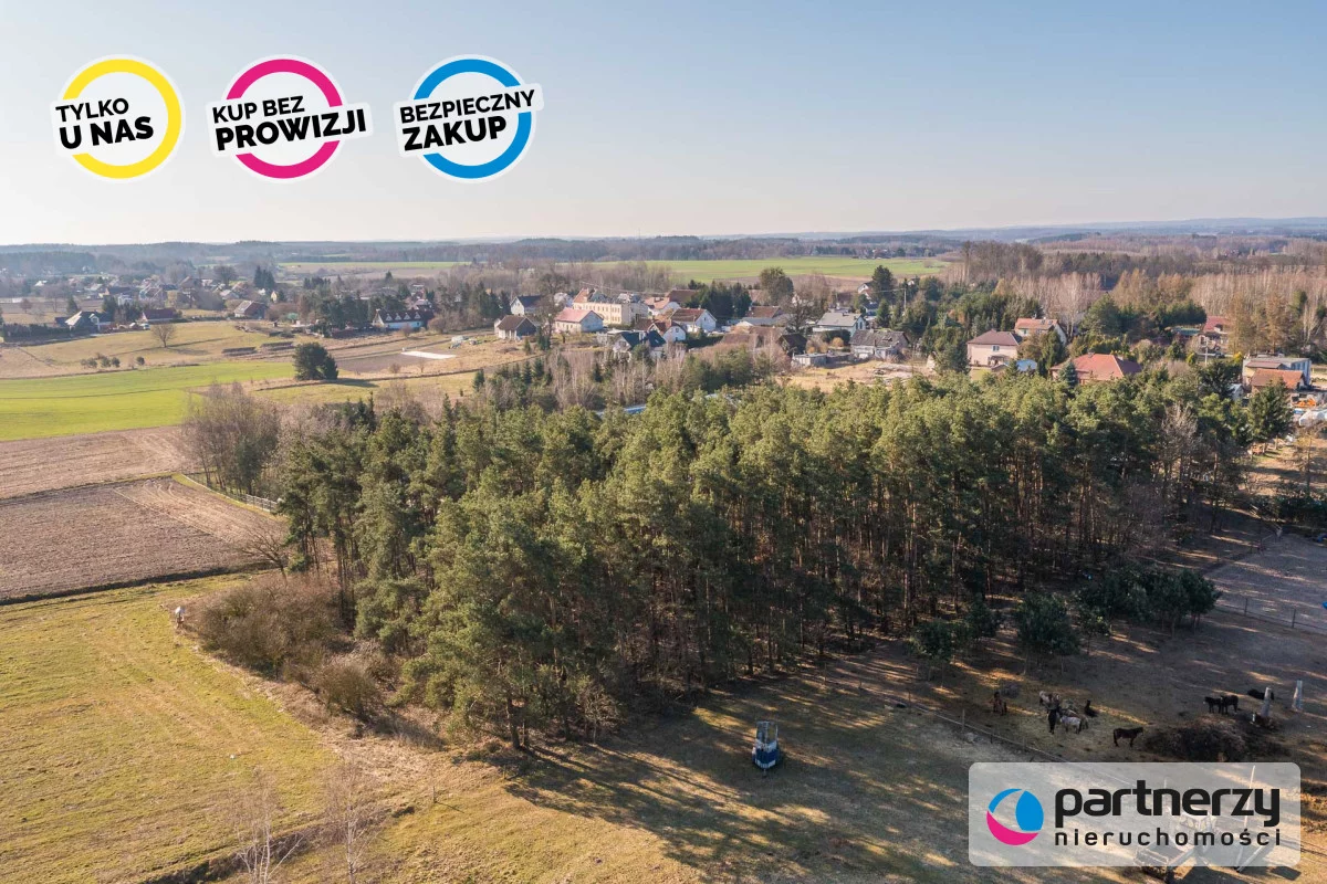 Działka 22 088,00 m², oferta nr , PAN675729, Zwierzewo
