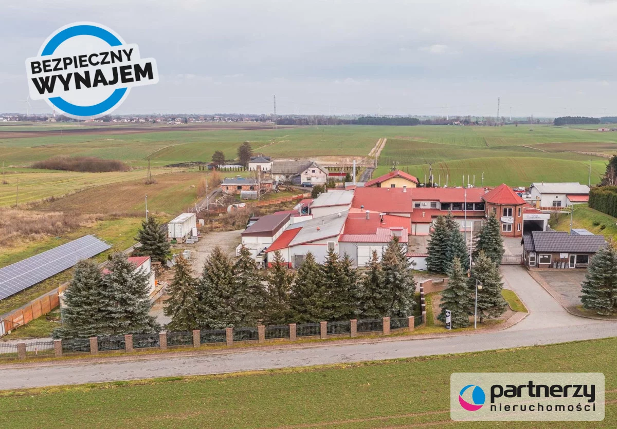 PAN221492 - zdjęcie nr 3