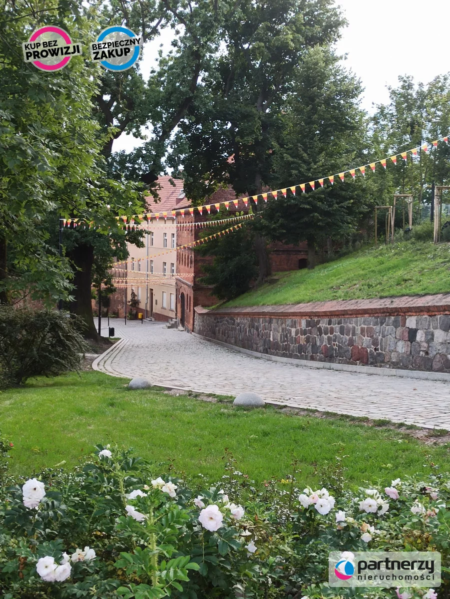 PAN345554 - zdjęcie nr 4