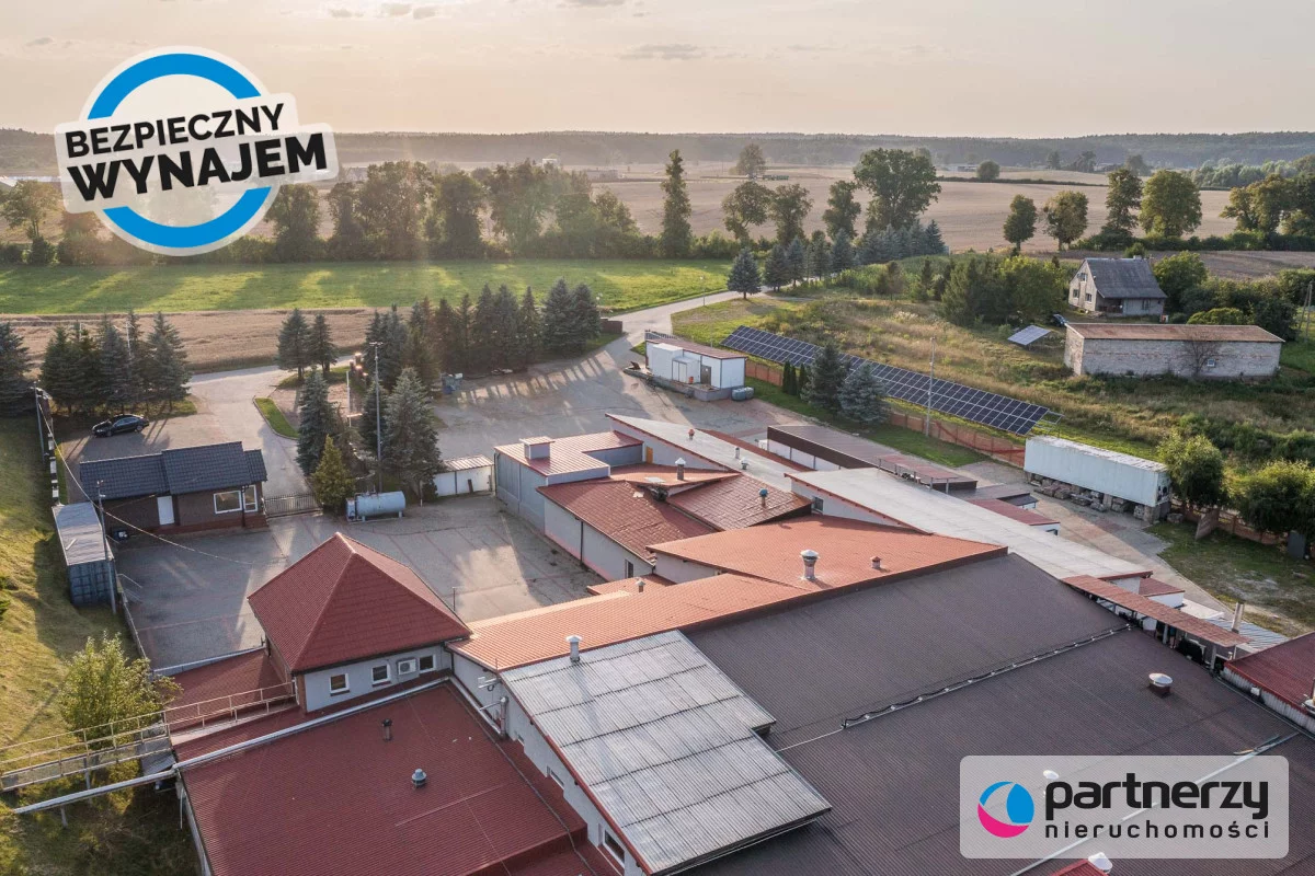 PAN221492 - zdjęcie nr 2
