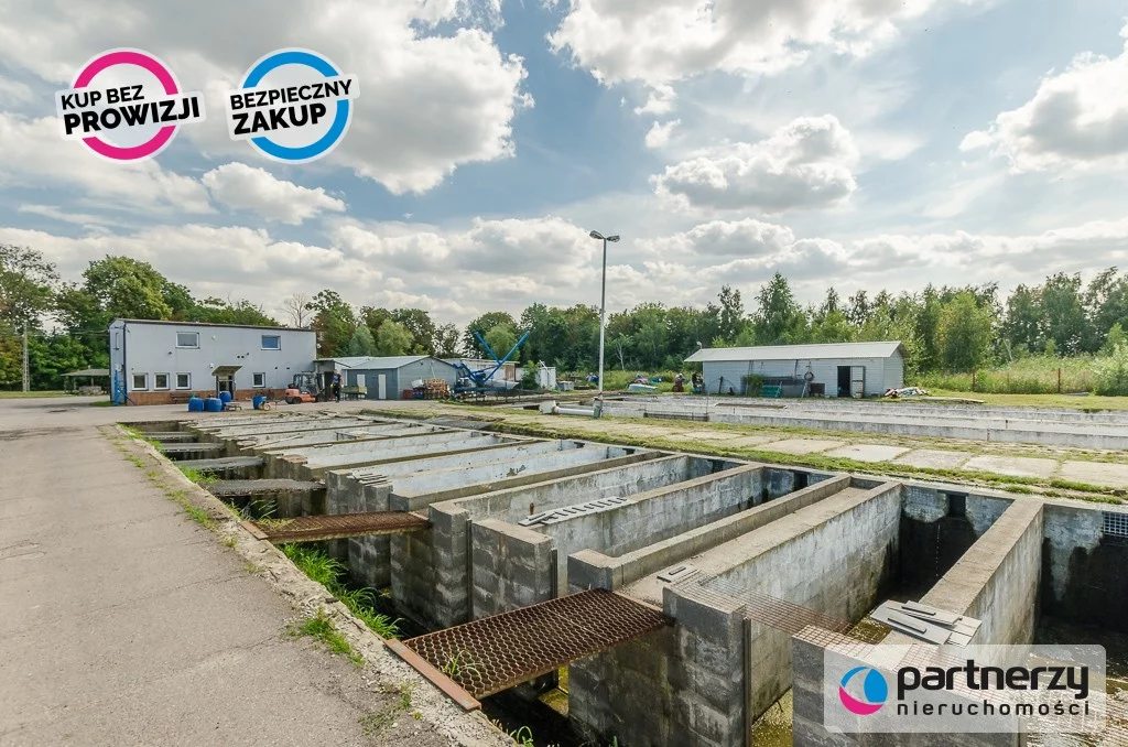 Magazyn 39 607,00 m², oferta nr , PAN213232450, Gdańsk
