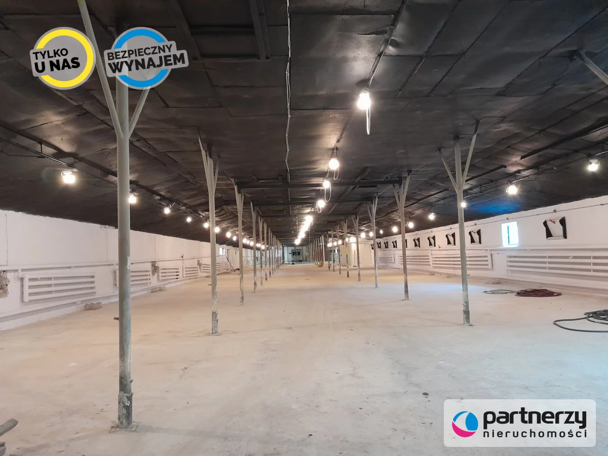 Magazyn 1 500,00 m², oferta nr , PAN797890, Chwaszczyno, Podleśna