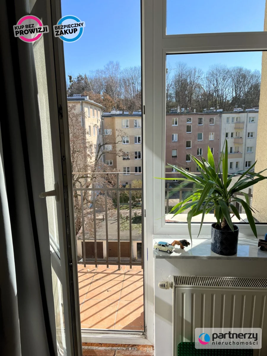 PAN382456 - zdjęcie nr 4