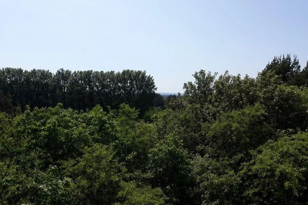 Nowe Hallerowo - zdjęcie nr 5
