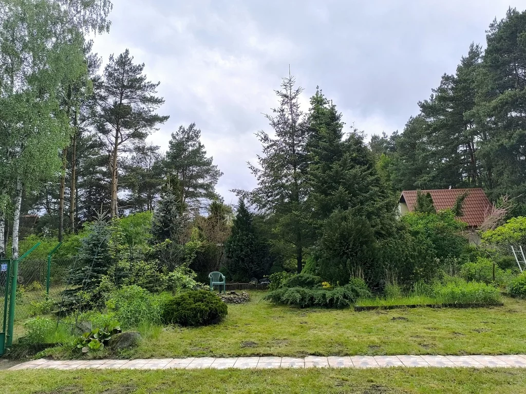 24819/78/ODS - zdjęcie nr 1