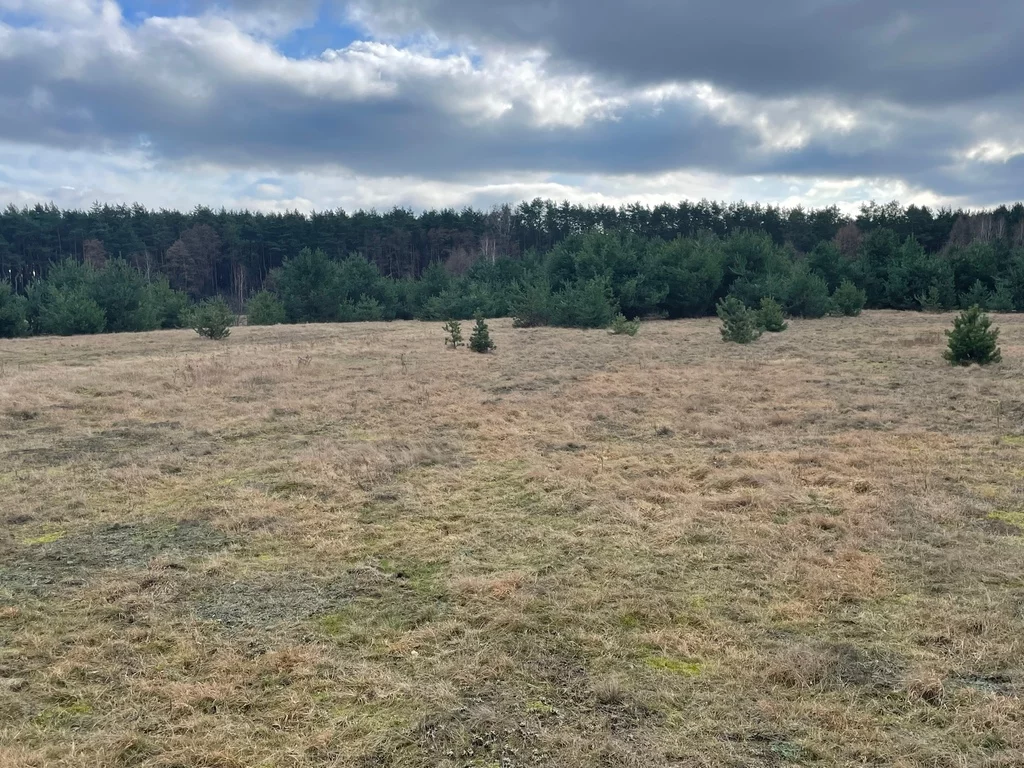 Działka 2 500,00 m², oferta nr , 22877/78/OGS, Arciechów