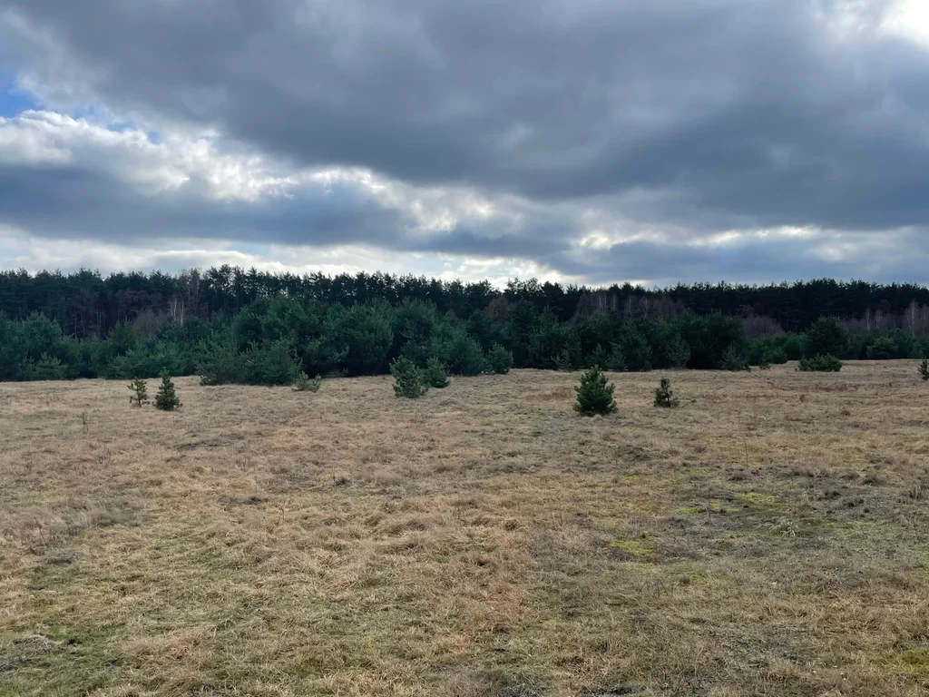 Działka 2 500,00 m², oferta nr , 22877/78/OGS, Arciechów