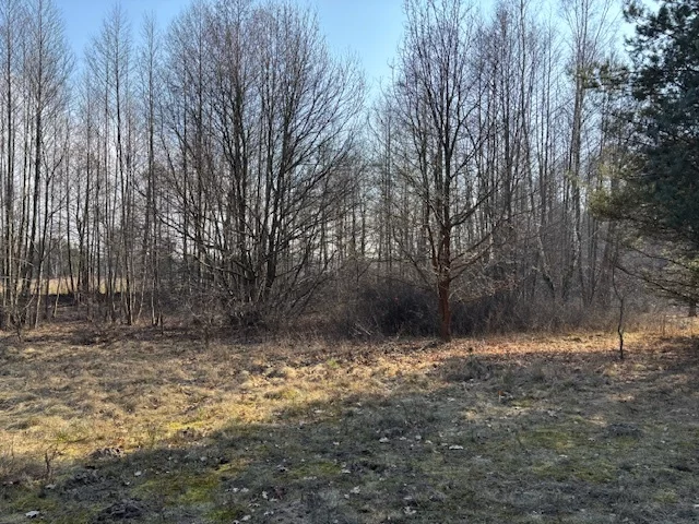 Działka na sprzedaż, 2 254,00 m², oferta nr 23079/78/OGS