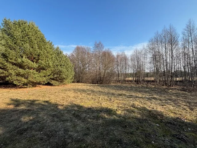 23124/78/OGS - zdjęcie nr 2
