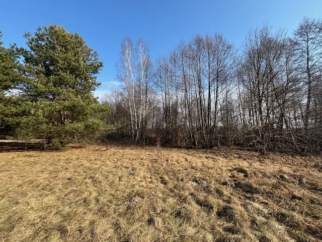 23124/78/OGS - zdjęcie nr 4