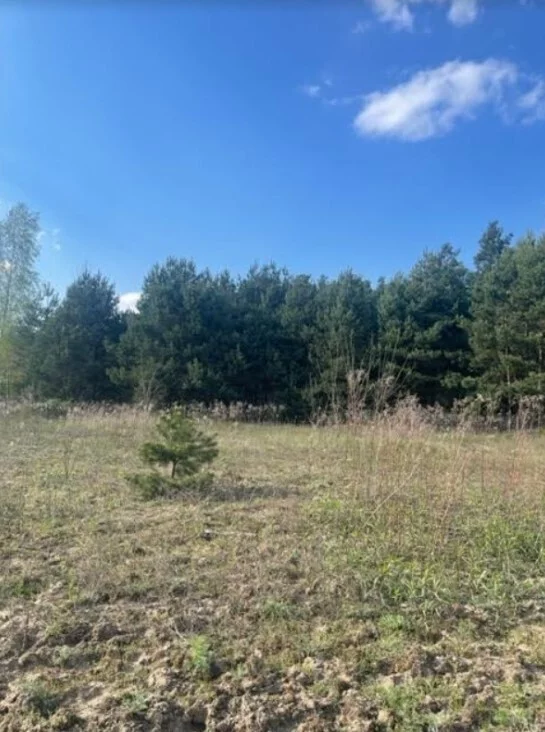 Apartamenty 23169/78/OGS Cegielnia