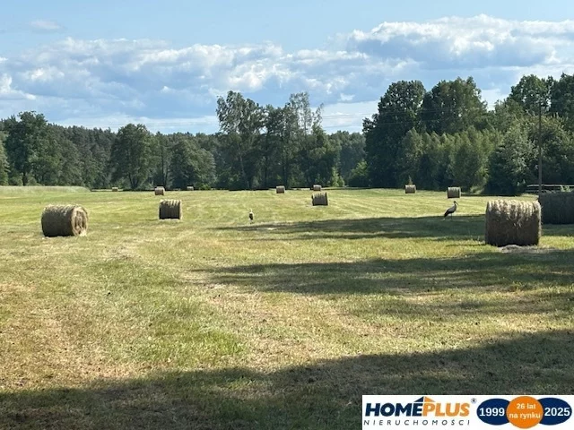 Działka 18 410,00 m², oferta nr , 23190/78/OGS, Chrzęsne