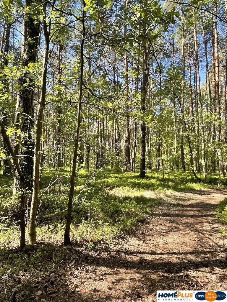 Działka 1 397,00 m², oferta nr , 23141/78/OGS, Ciemne