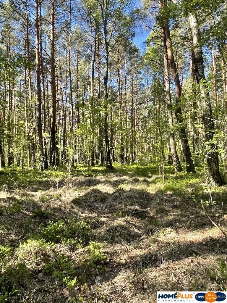 Działka 1 397,00 m², oferta nr , 23141/78/OGS, Ciemne