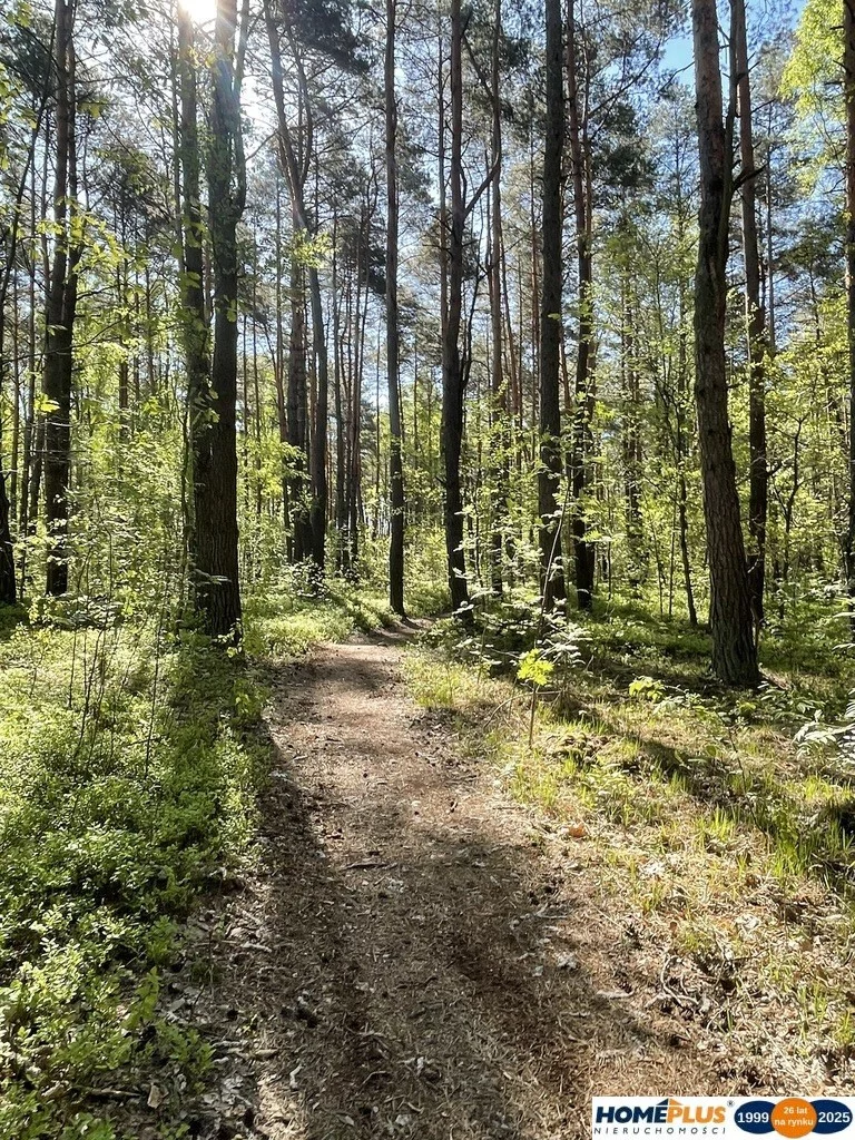 Działka 1 397,00 m², oferta nr , 23141/78/OGS, Ciemne