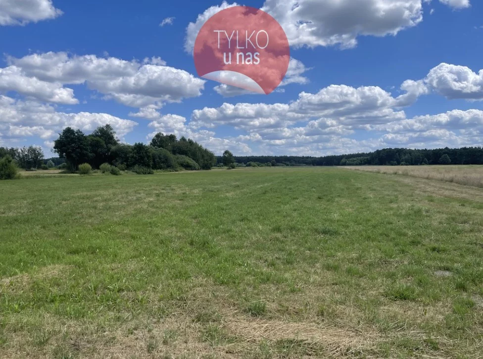 Działka 41 902,00 m², Ciemne, Sprzedaż