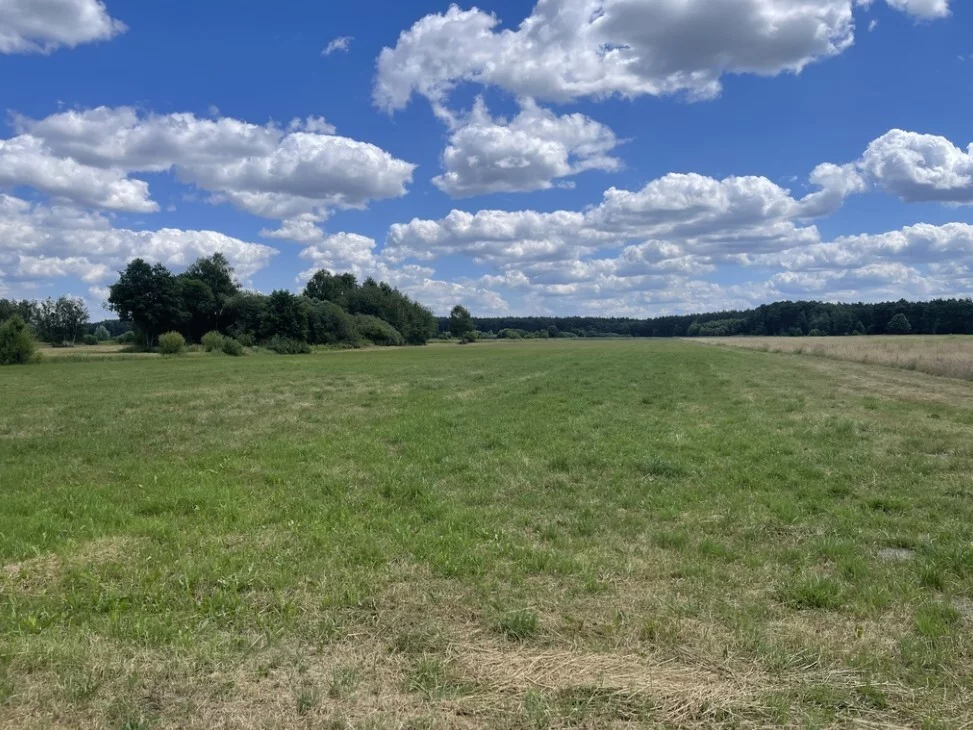 Działka 18 404,00 m², Ciemne, Sprzedaż