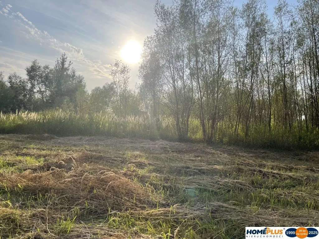 Apartamenty 23218/78/OGS Dąbrówka