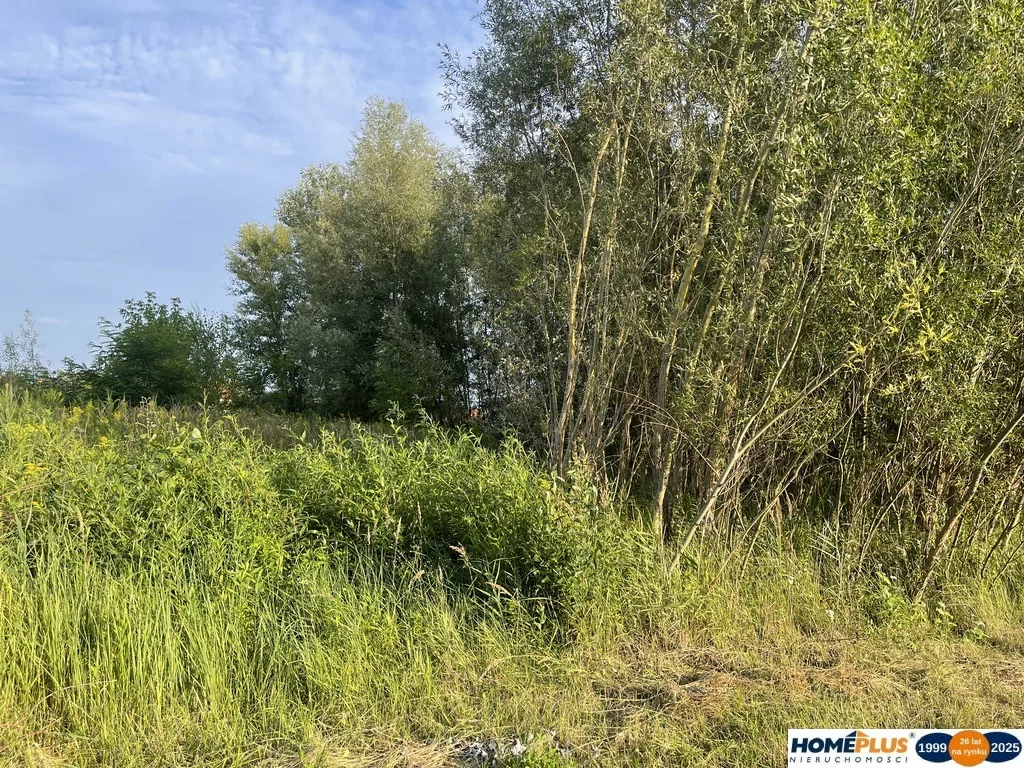 23218/78/OGS - zdjęcie nr 3