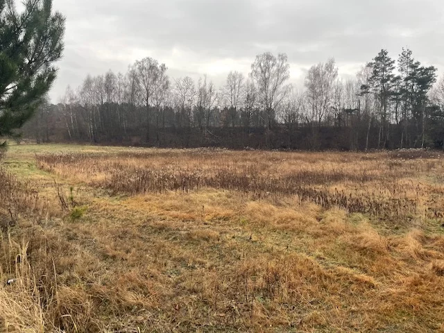 Działka 23 700,00 m², oferta nr , 22672/78/OGS, Dręszew