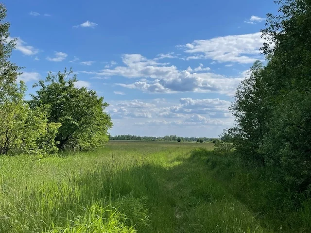 Działka 43 400,00 m², oferta nr , 22933/78/OGS, Działy Czarnowskie