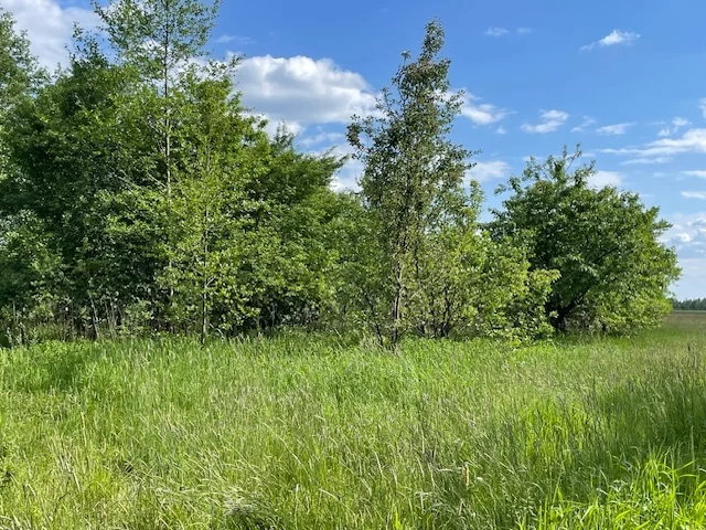 Działka 43 400,00 m², oferta nr , 22933/78/OGS, Działy Czarnowskie