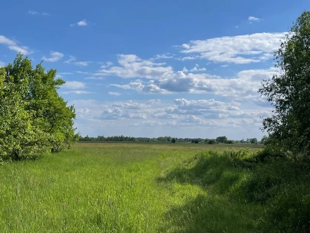 Działka 43 400,00 m², oferta nr , 22933/78/OGS, Działy Czarnowskie