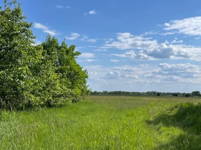 Działka 43 400,00 m², oferta nr , 22933/78/OGS, Działy Czarnowskie