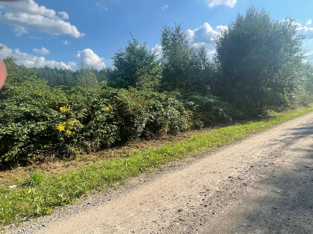 Działka 666,00 m², oferta nr , 22694/78/OGS, Jarzębia Łąka