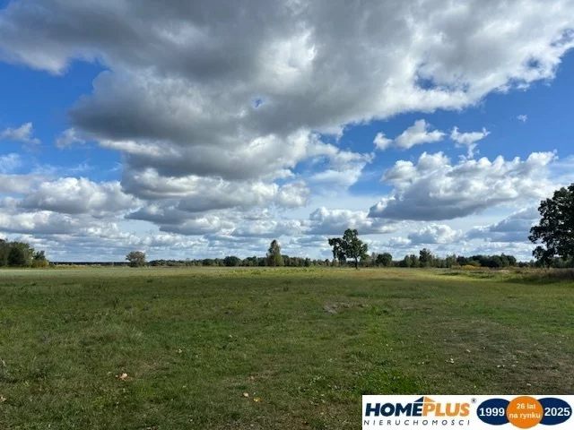 Działka 14 000,00 m², oferta nr , 23155/78/OGS, Łąki