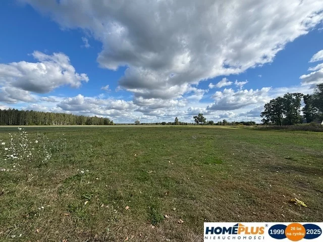 Działka 14 000,00 m², oferta nr , 23155/78/OGS, Łąki