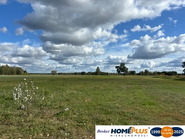 Działka 14 000,00 m², oferta nr , 23257/78/OGS, Łąki